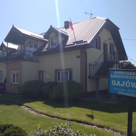 Agrogajowka Apartment กเนียวินอ ภายนอก รูปภาพ